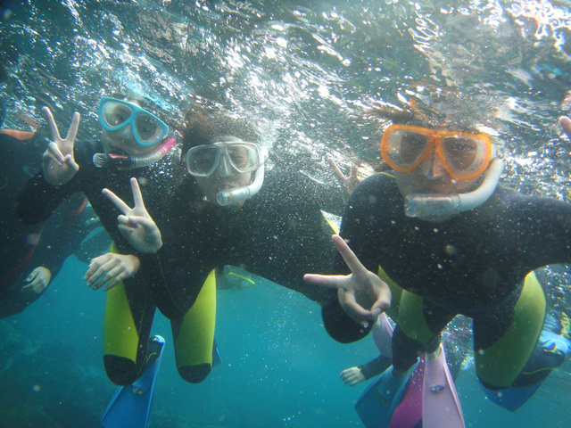 半日で海を覗いて楽しもう!大人気、伊豆の海でのシュノーケル体験 イントラ付きで安...