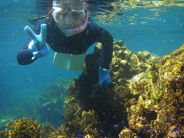 󐣂̓JtȋłςBu[̃\XY_Cɂ݂͂ȊI