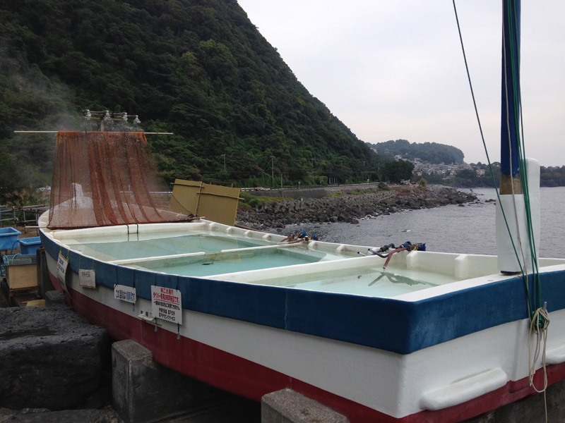 C|Cg̕x˂ɂ͌򂩂̉ۂI