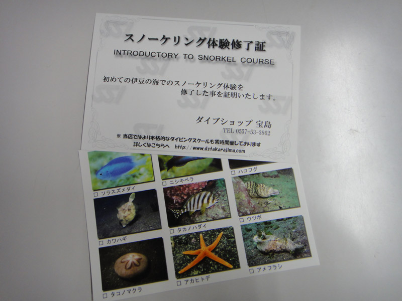 Vm[Pł悭鋛̎ʐ^C؂炦܂