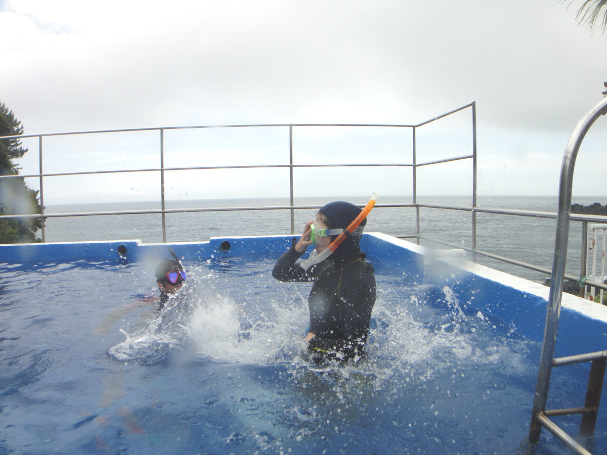 CȂ{ԂȂɊCւ̃Gg[@K JԂ̗KS