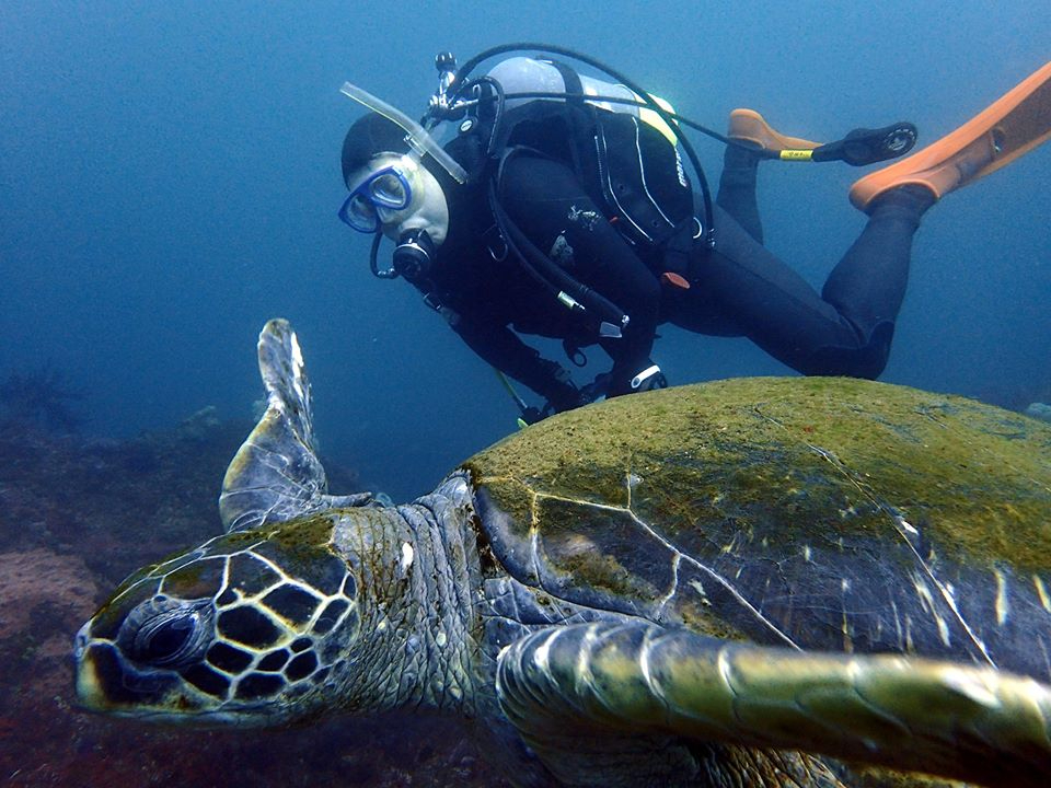 �ɓ��ɂ͂������N�ԈႢ�Ȃ��J���������Ă���