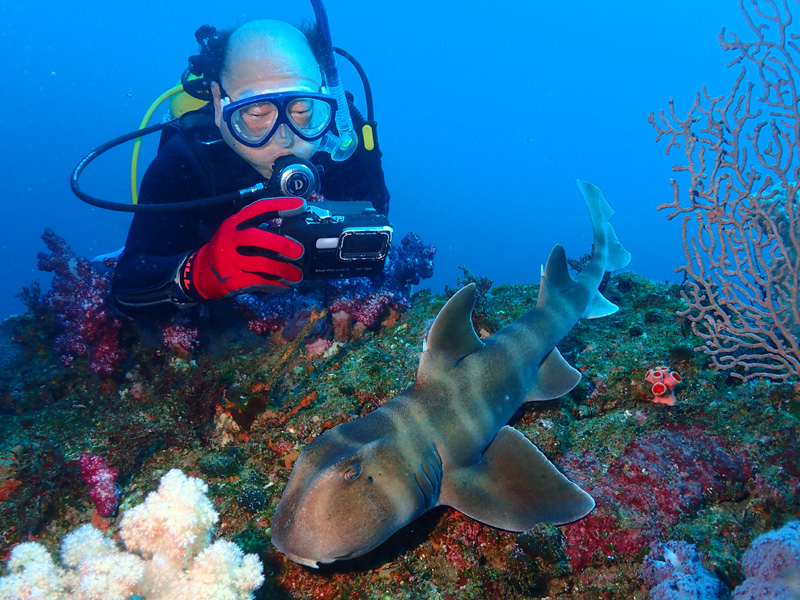 �l�R�U���͂��ƂȂ����T���I