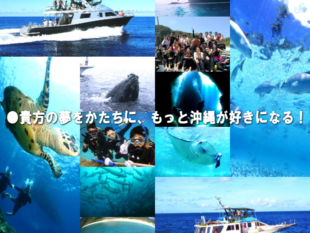 那覇発⇒慶良間諸島》慶良間諸島光の洞窟指定体験ダイビング+