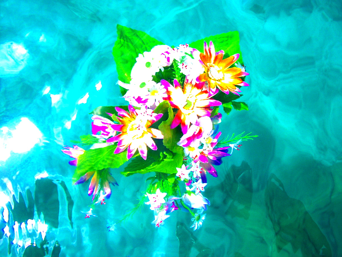 LOAaTvCY`ŖɂĂj܂B₢킹B