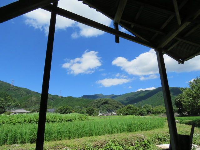 工房からの眺めです。