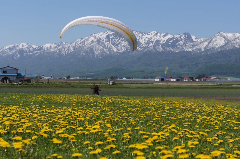 ��N5�����{�ɂ̓G���A�Ƀ^���|�|���炫��ʉ��F�̌i�F�ɂȂ�܂��B7���ɂ̓��x���_�[�E8���ɂ͂Ђ܂�蔨�ƈ�N���y���߂܂��B