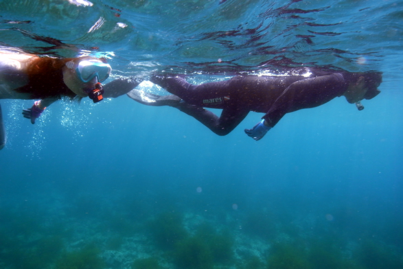 X[c𒅂΁AsvcƕĂāAjȂĂCȂ񂾁B