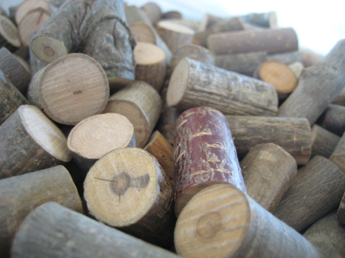 沢山の種類から気に入った木を選んで。