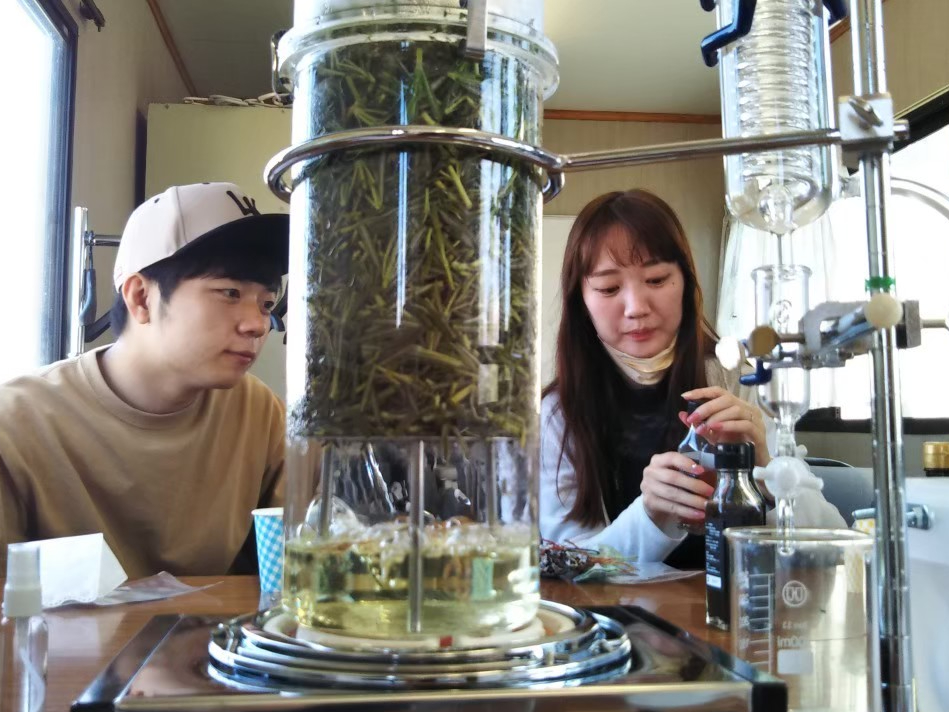 国内最大ローズマリー農園で収穫~蒸留&スプレーづくり体験