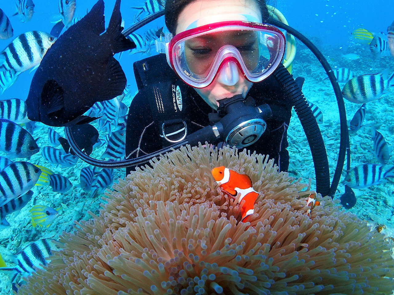 _CrO߂Ă̕łS܂Bs̃T[rXŁuĂȂv܂B