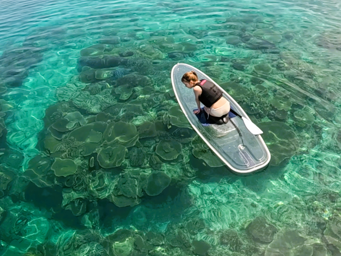 透明のボードだから海に入らなくてもお魚やサンゴ礁がよく見える♪