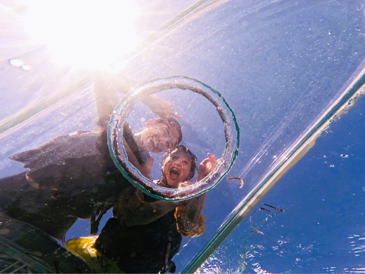 X̃T[rX͖xdIql̂]ɉ܂