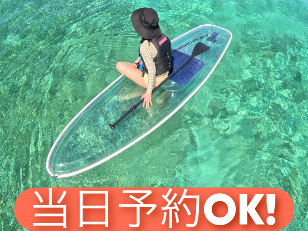人気急上昇中のマリンスポーツ「クリアサップ」