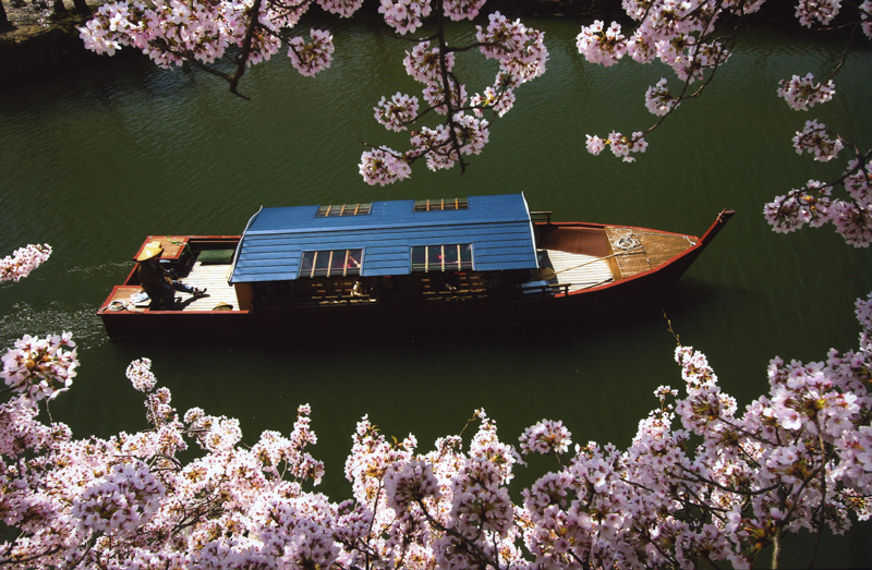 D͕F̎lG܁XiFĂ䂫A`D͍ō̂~łB