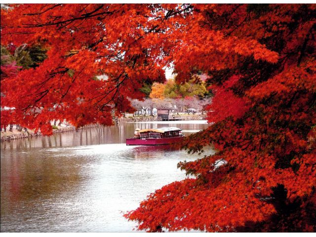 秋には見事な紅葉もお楽しみ頂けます☆★