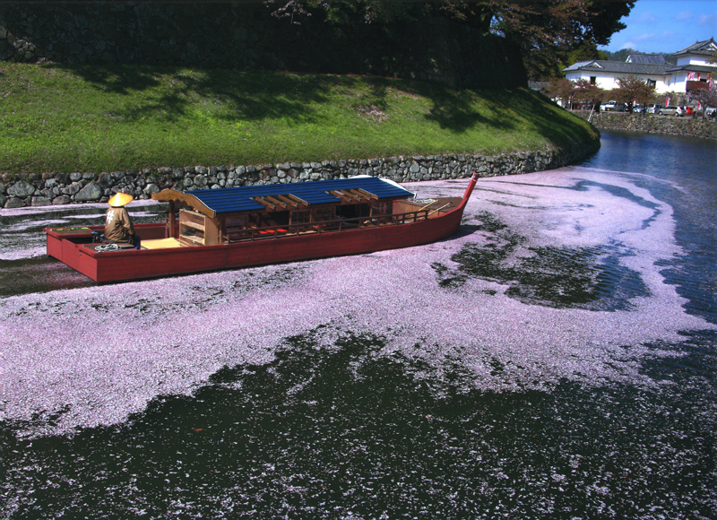 平成18年の彦根城築城400年際より運航を開始。ひこにゃんと同時に誕生しました★