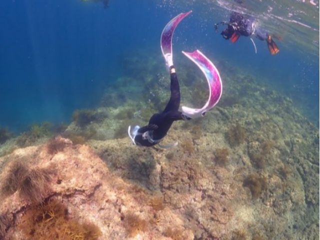 海企画も開催しています!写真や動画は全てプレゼント!