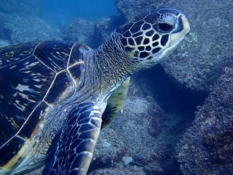 v[łƗKāAE~KɉɍsI