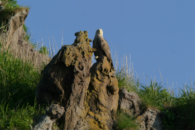 JCbJ̑̋߂uvɂ͓VRLÓuIWVvcĂ܂B^ǂΌ邩H