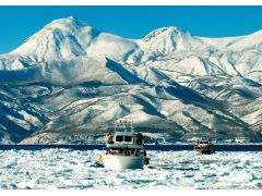 根室海峡に入り込んだ流氷は流氷帯となって移動します。その日によって場所が変わりますが安定時期(2月中旬〜3月上旬)は出航10分ほどで撮影場所に到着します。