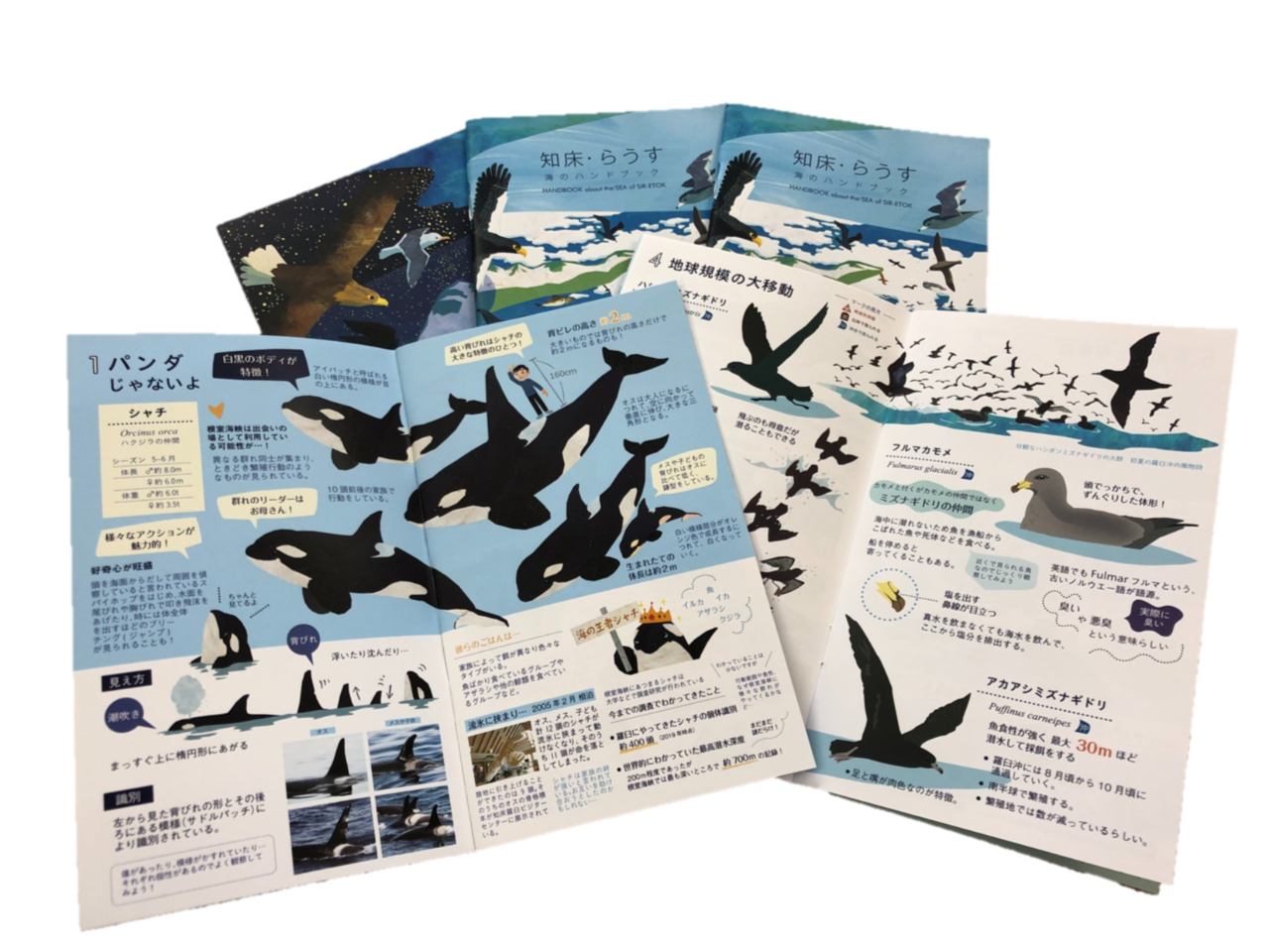 �����̂������̏Љ�ł͂Ȃ��I�����ł����m��Ȃ����e���I