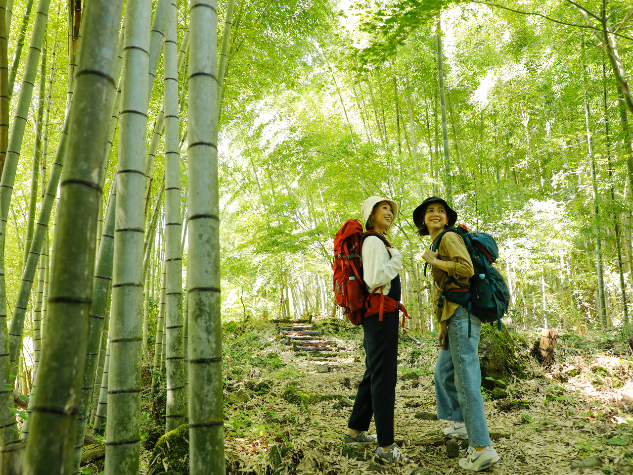 ��̂����炬��ؘR������y���݂Ȃ���A���R������o�����|�p�I�Ȋ┧��������܂��B