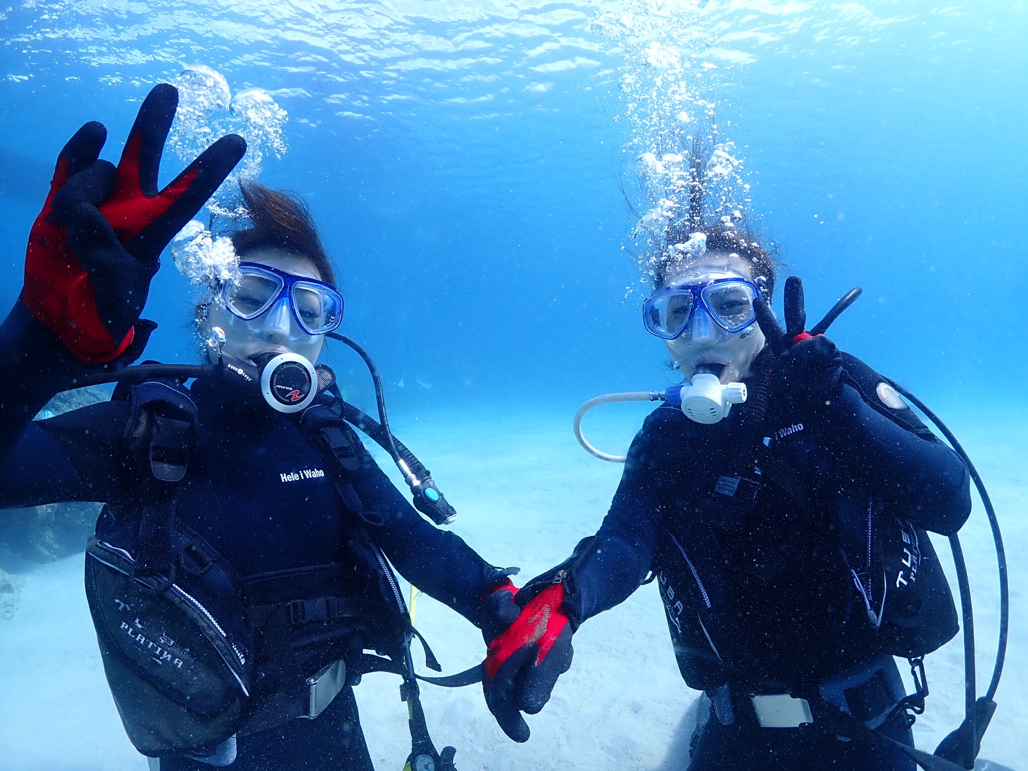 �]�T�̃s�[�X���I