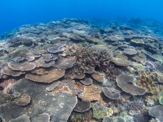古宇利島の海を楽しもう!