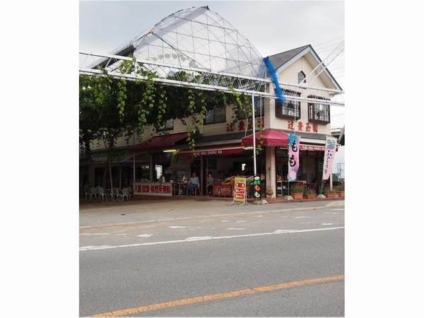 �ҖL�ʉ��́A�L�@�͔|�̂Ԃǂ����Ɨn��ăo�[�x�L���[���y���߁A�Ƒ��I�Ȃ��ĂȂ����l�C�ŁA���s�[�^�[�������������ł�