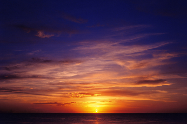 �[�z�C���[�W�@