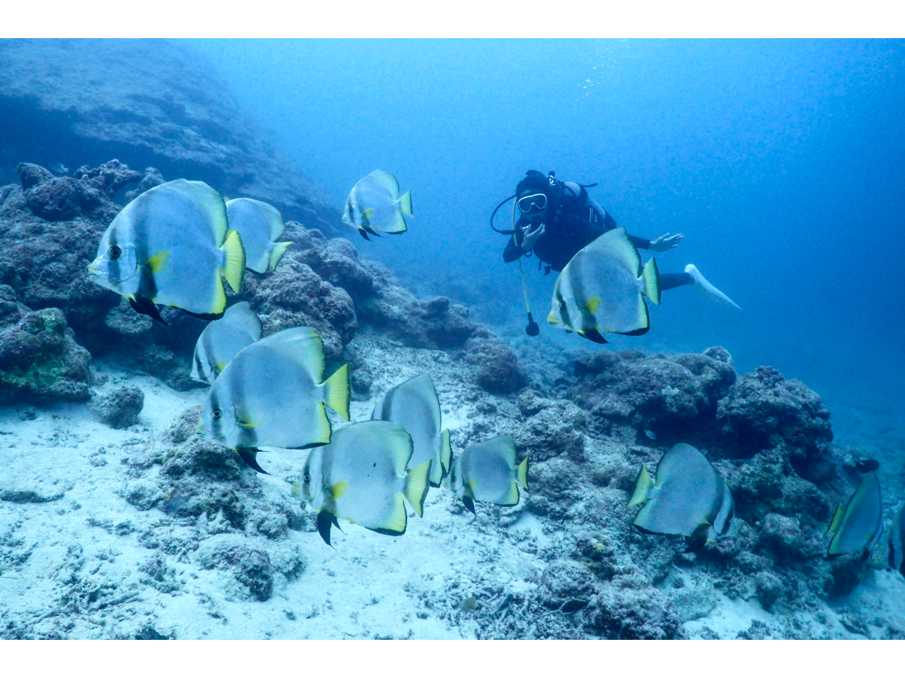 C̃RfBVĂ낢ȃ|Cgւē܂I