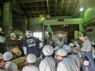 お子様の夏休みの課題にもぴったり!