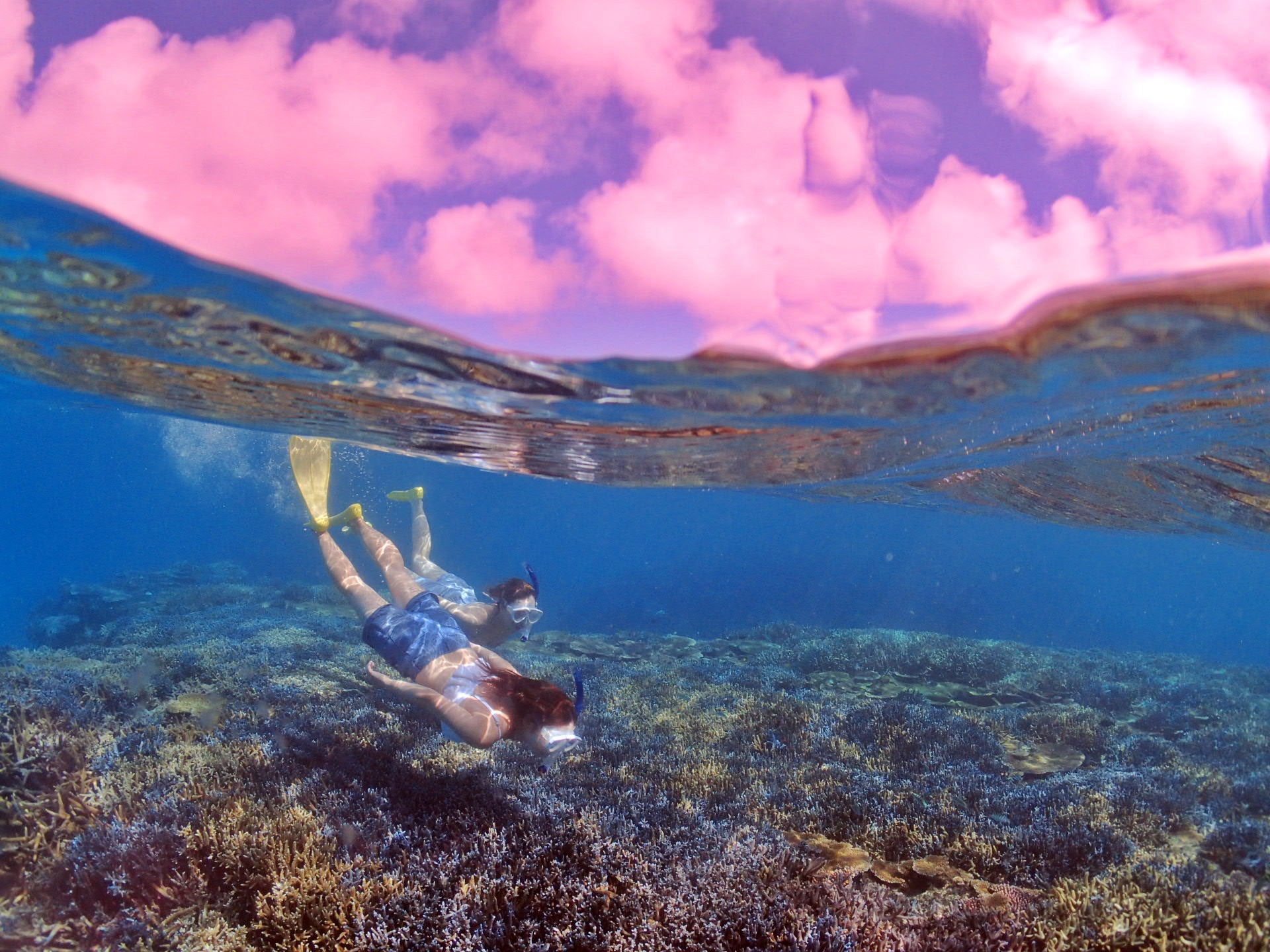 TS̊yΊ_{ő̃TSʁuΐʌ΁vŃVm[POI