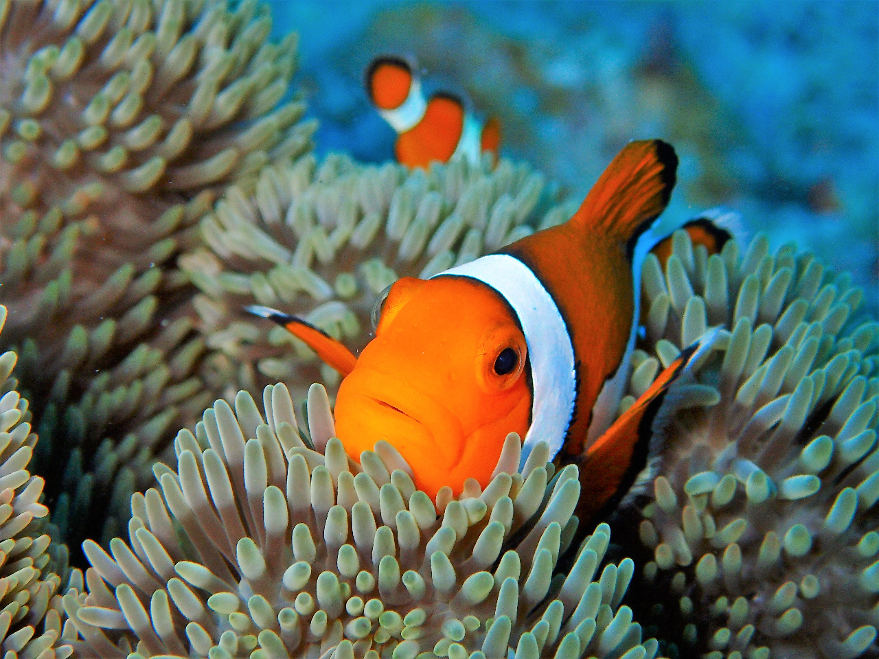 j̃fJNN}m~Ǐ_CrOł͂ȉ邱Ƃł܂I