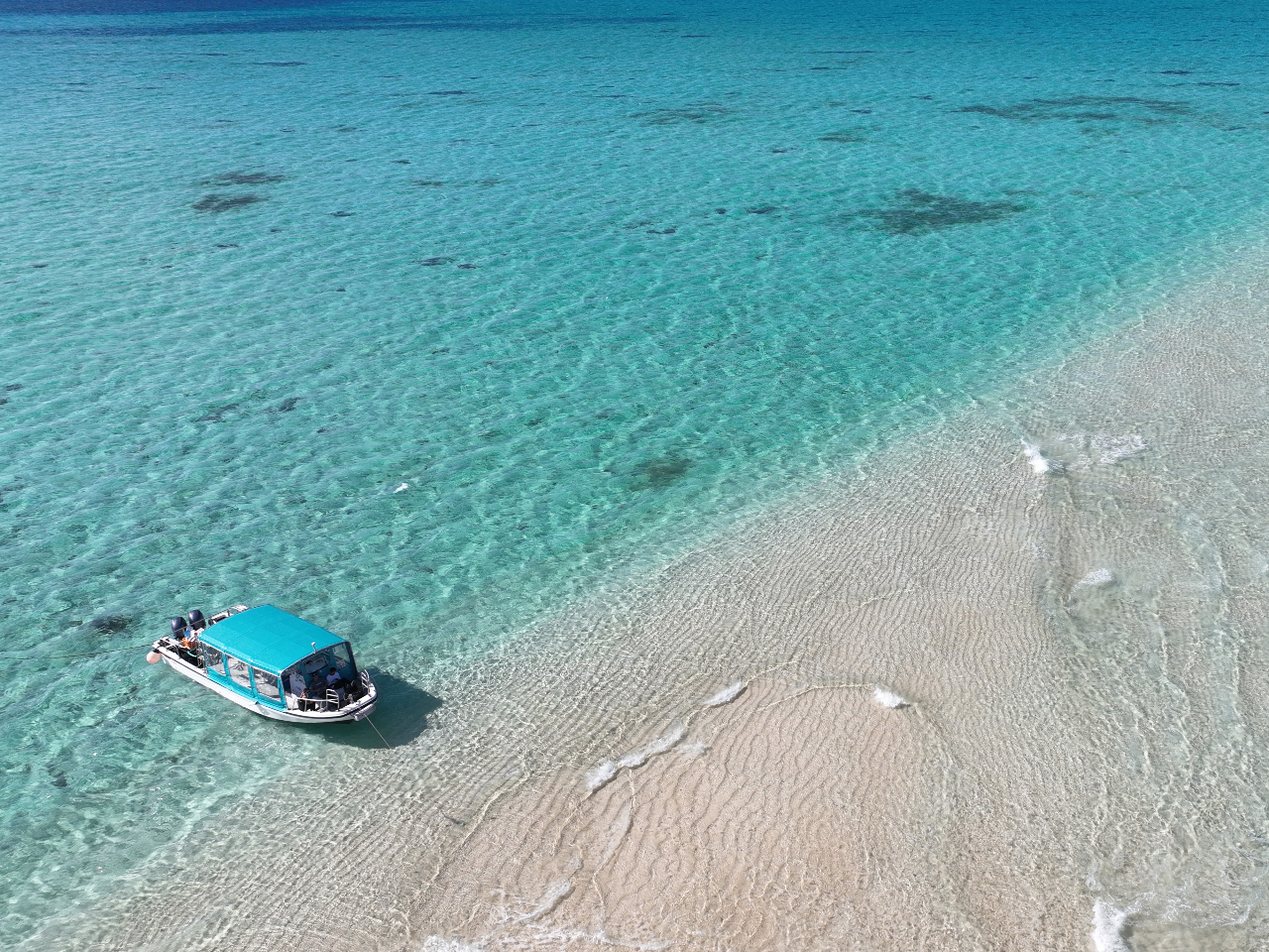 {[g̓V[EgCt̃sJsJVI30̍LX^CvłB