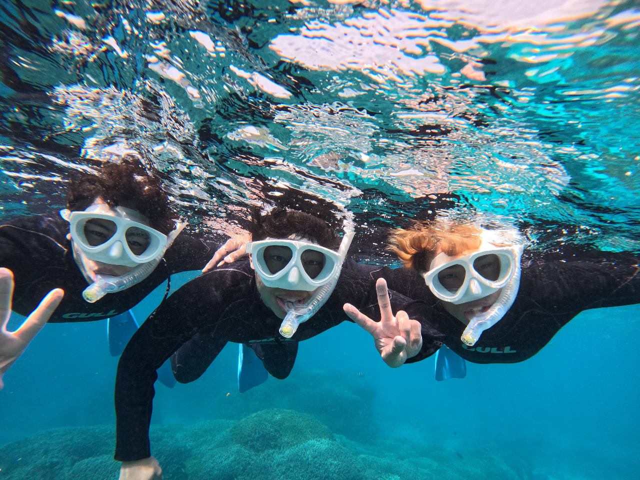 ʐ^v[gLy[I_E[hłURLLINEő点Ē܂̂ŁAs҂Ƃ̃VFAȒP