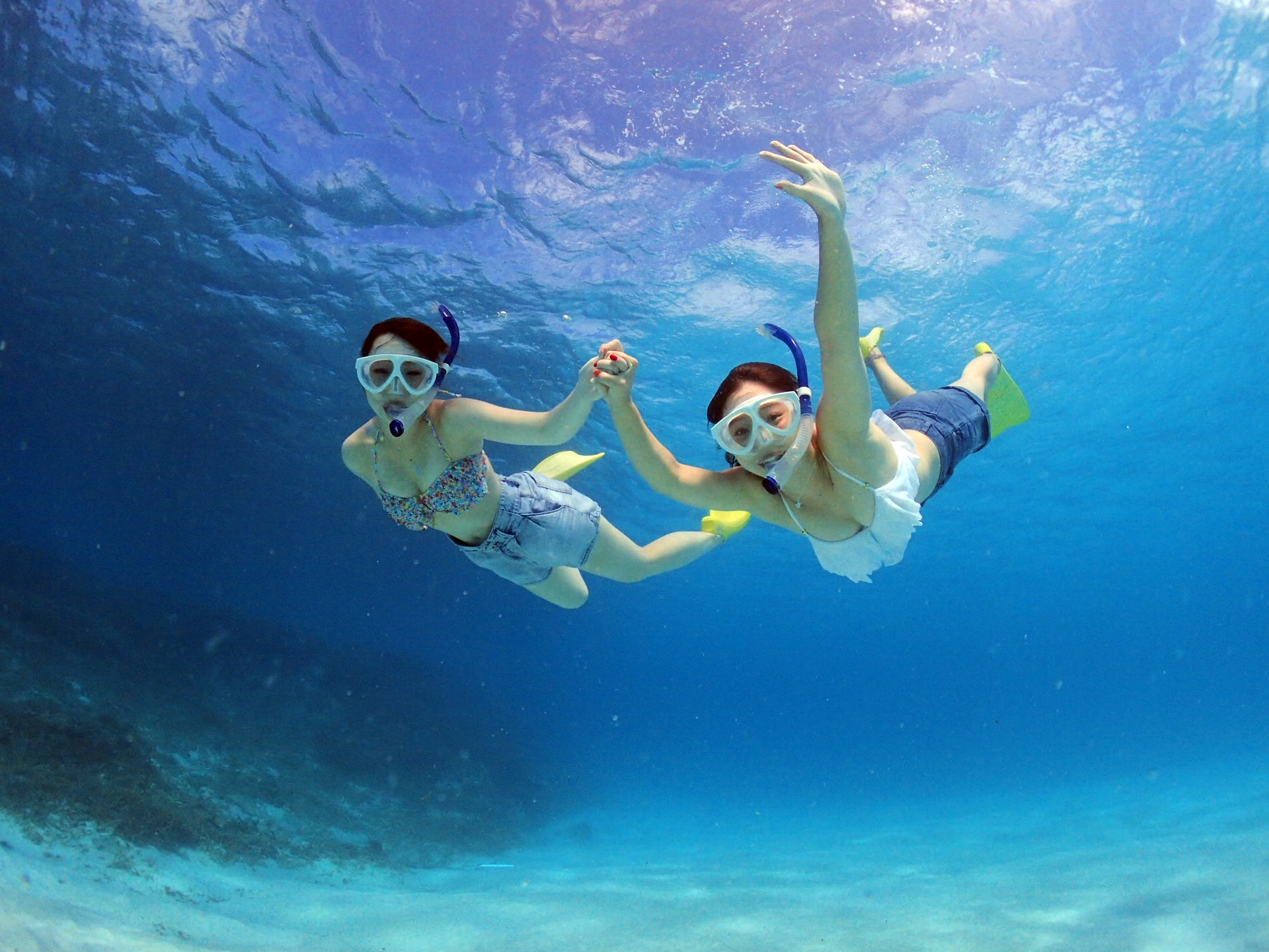 ʐ^v[gLy[I_E[hłURL[ő点Ē܂̂ŁAs҂Ƃ̃VFAȒP