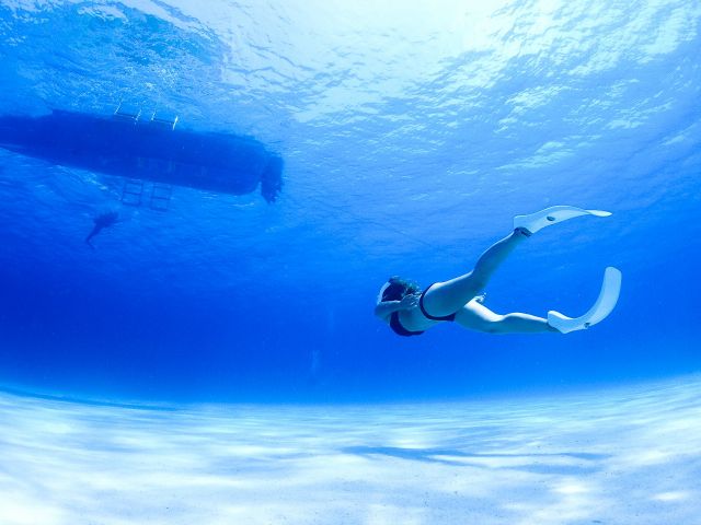 水中写真の撮影はスタッフも行います。希望の写真があればスタッフに教えて下さい!