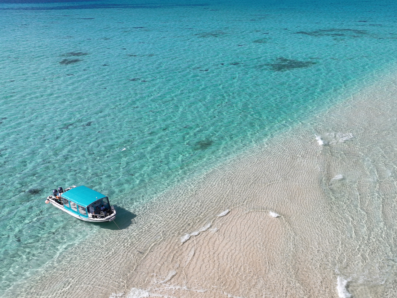 {[g̓V[EgCt̃sJsJVI30̍LX^CvłB