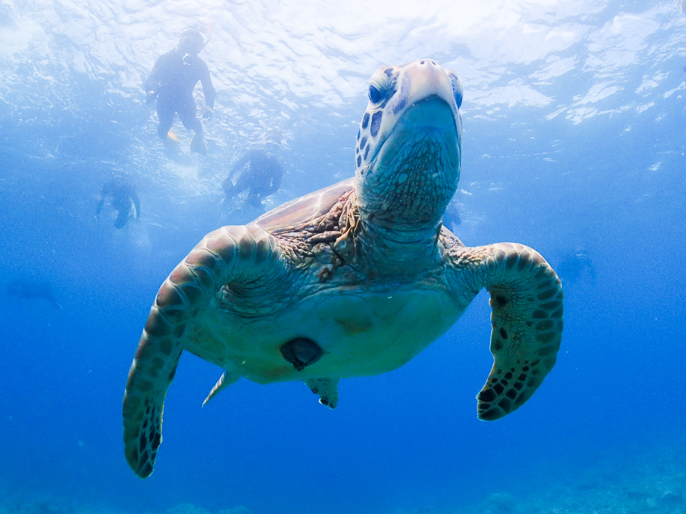 E~K}^ɂ悭΂R[X܂XPW[ɗ\̂1R[XIXXłS(LցM)