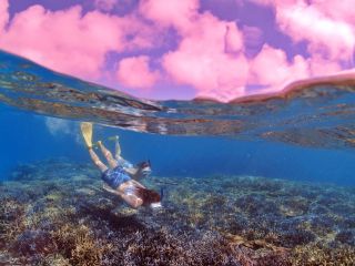 旅の思い出にシュノーケリング♪サンゴの楽園石垣島で泳ごう〜ヾ(´ω`)ノ泳げない方でも参加可能です♪