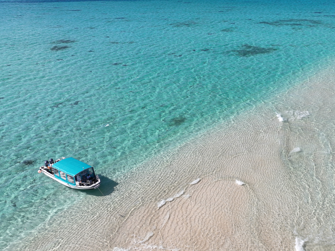 {[g̓V[EgCt̃sJsJVI30̍LX^CvłB