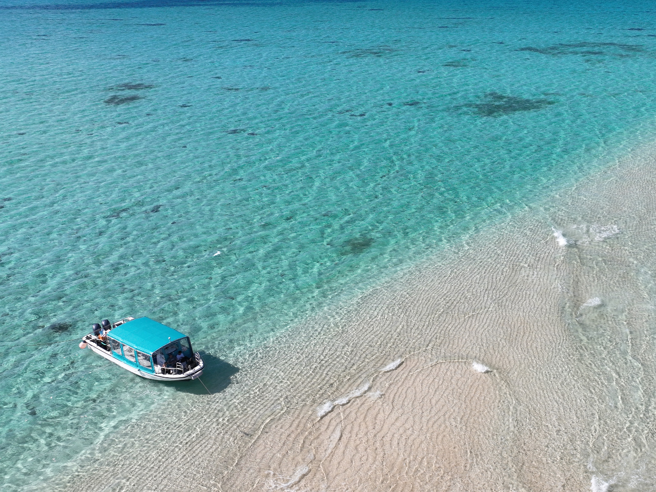 {[g̓V[EgCt̃sJsJVI30̍LX^CvłB