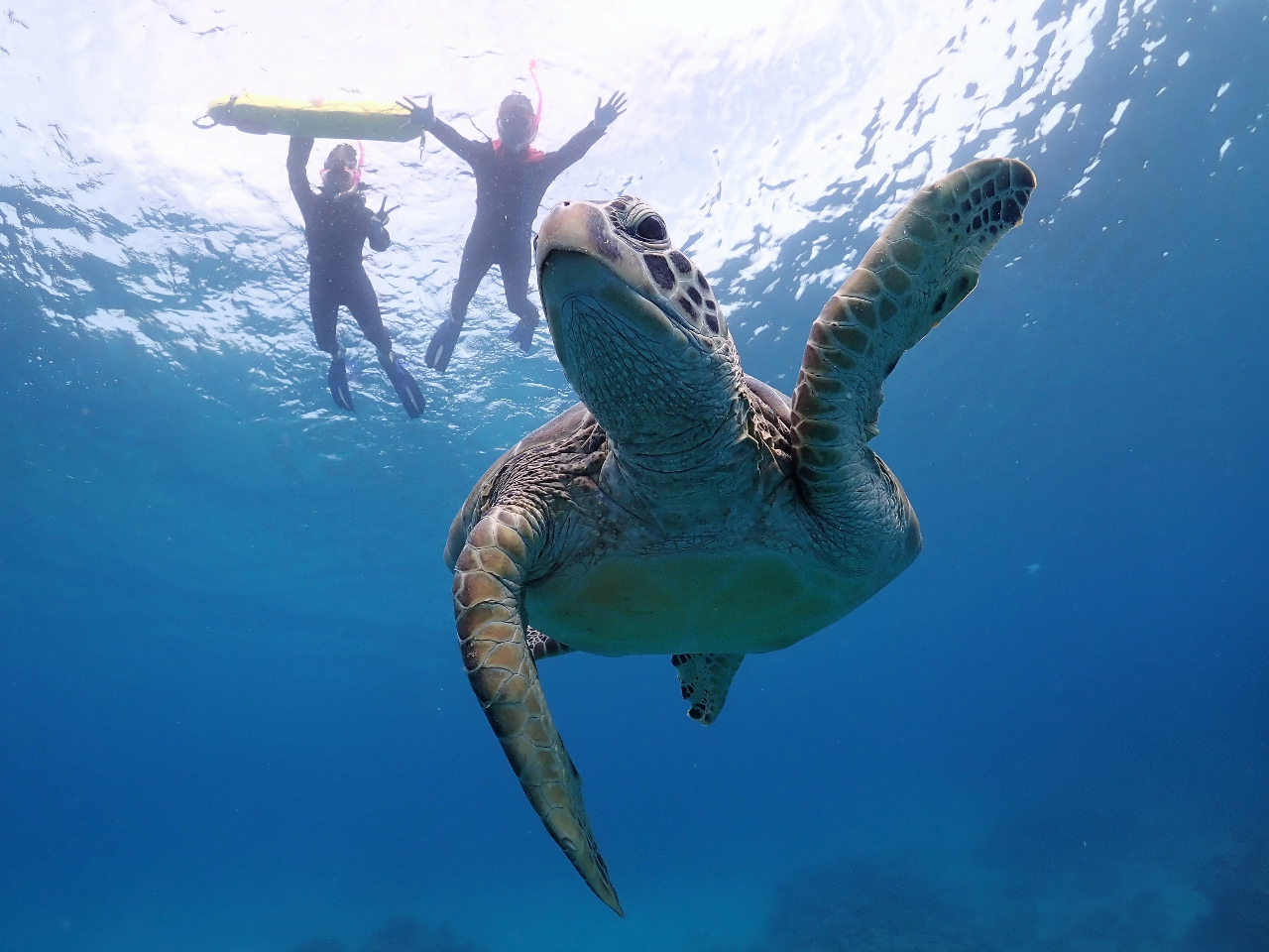 Ί_Ƃ΃E~KIłɂ鎞ԂȂlɂ߂̃v