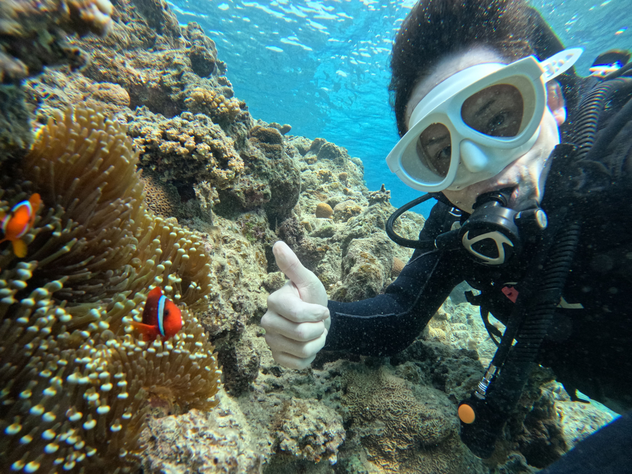 ߂Ẵ_CrOCIySɂēv܂B