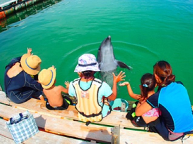 イルカを間近で見て触れ合うとってもいい機会♪
