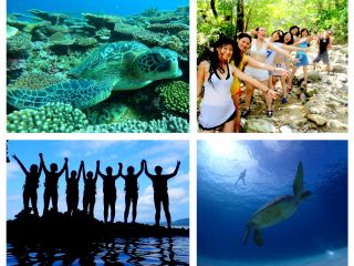 石垣島の青の洞窟探検と、ウミガメシュノーケリングで癒されよう!今ならGoPro無料レンタルサービス付きなので、お得に最高のショットをお持ち帰りください♪