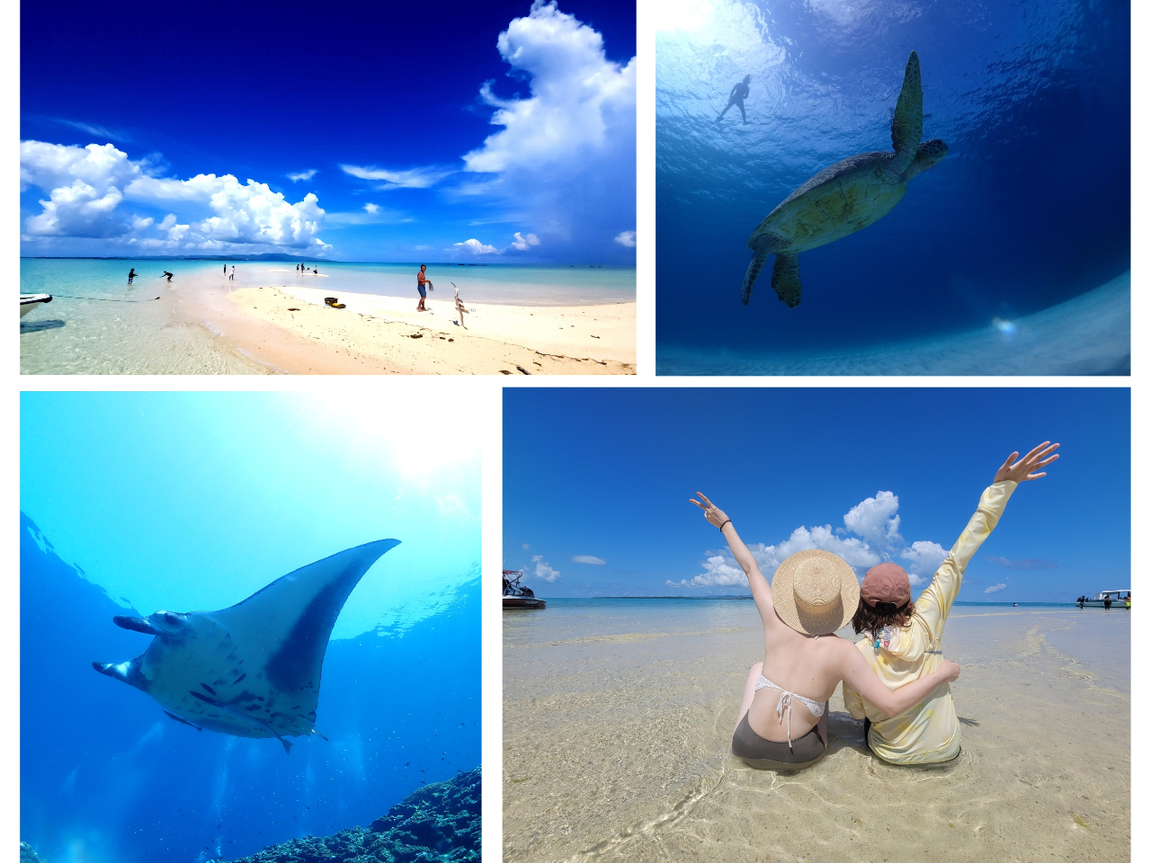 E~K܂̓}^TɂAhx`[Vm[Pv􂳂ɁAi̖lu̓vւ㗤ł܂IŃ{[ՂɊCVтyI