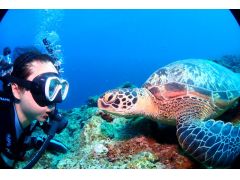 breeze石垣島ダイビングサービス 予約 アクセス 割引クーポン じゃらんnet